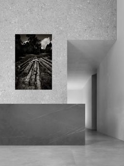 Living nature and still life